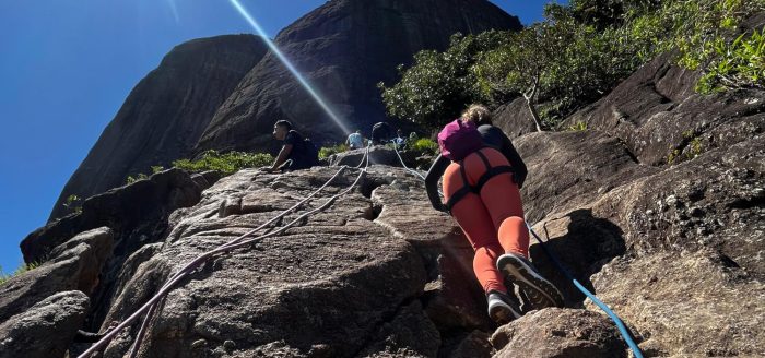 856df1c7-a1cc-4eee-9c8e-96c9dc94e9f4