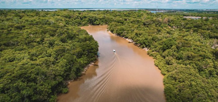 amazonia-rio-solimoes-aereo