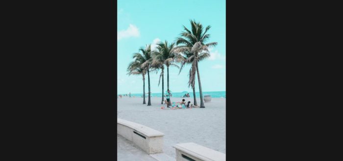 bahia-praia-coqueiros-familia