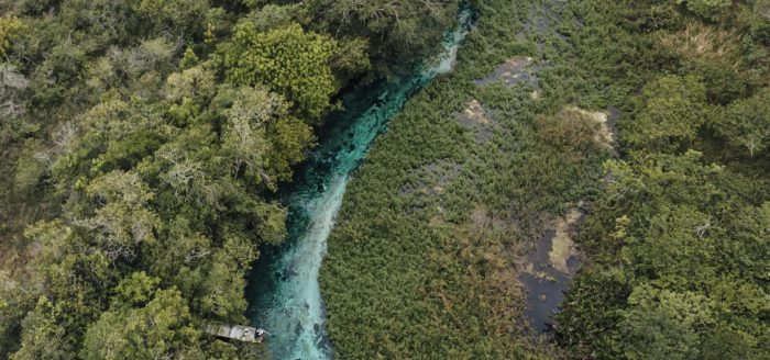 bonito-rio-aereo-floresta