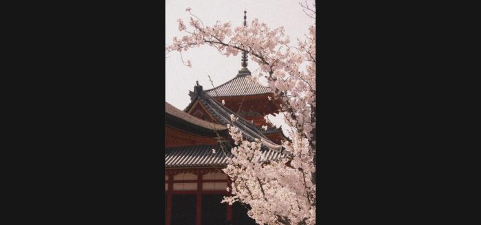 japao-quioto-templo-sakura