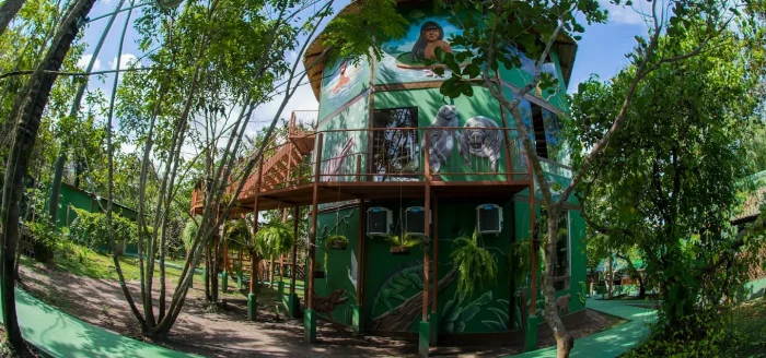manaus ecologe3