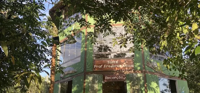 manaus ecologe5