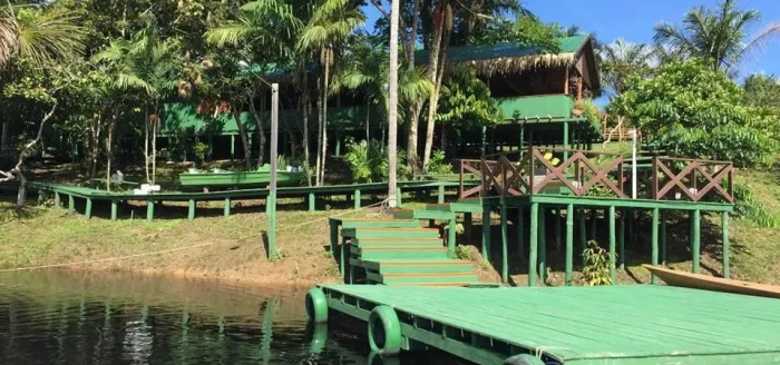 manaus ecologe6