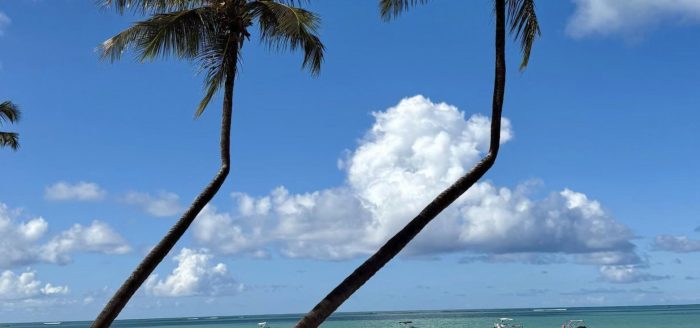 maragogi-coqueiros-praia-alagoas