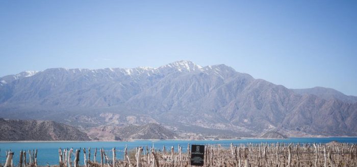 mendoza-andes-lago-vinicola