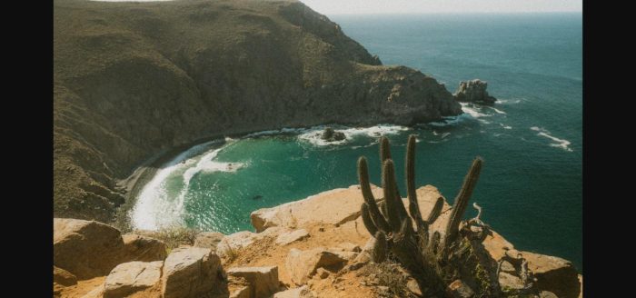 mexico-baja-cactos
