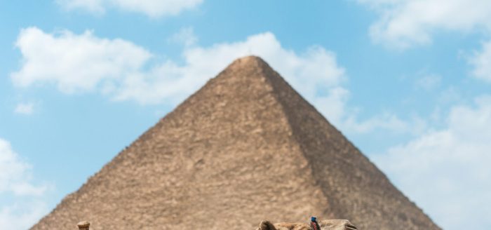 rosario-janza-69qT-N3L5sc-unsplash