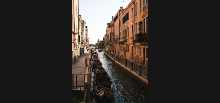 screenshot-1790984893725-c54784f3
